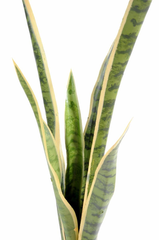 Konstgjord Växt Sansevieria 105Cm Inomhus Grön Gul