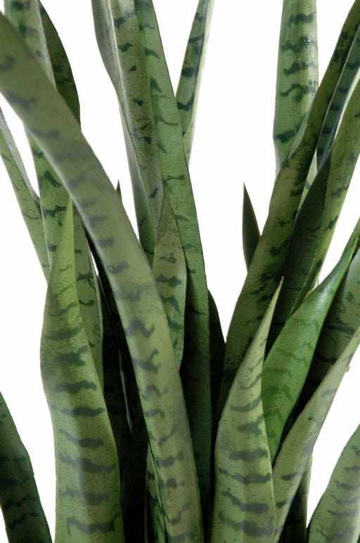 Konstgjord Växt Sansevieria 30 Blad 110 Cm