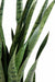 Konstgjord Växt Sansevieria 30 Blad 110 Cm