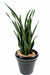 Konstgjord Växt Sansevieria 30 Blad 110 Cm