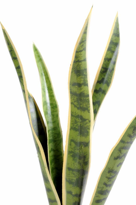 Konstgjord Växt Sansevieria 60Cm Inredning