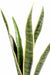 Konstgjord Växt Sansevieria 60Cm Inredning