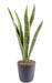 Konstgjord Växt Sansevieria 60Cm Inredning