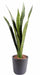 Konstgjord Växt Sansevieria 60Cm För Inomhus