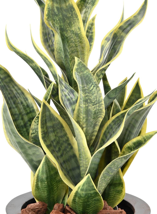 Konstgjord Växt Sansevieria 66Cm Inredning