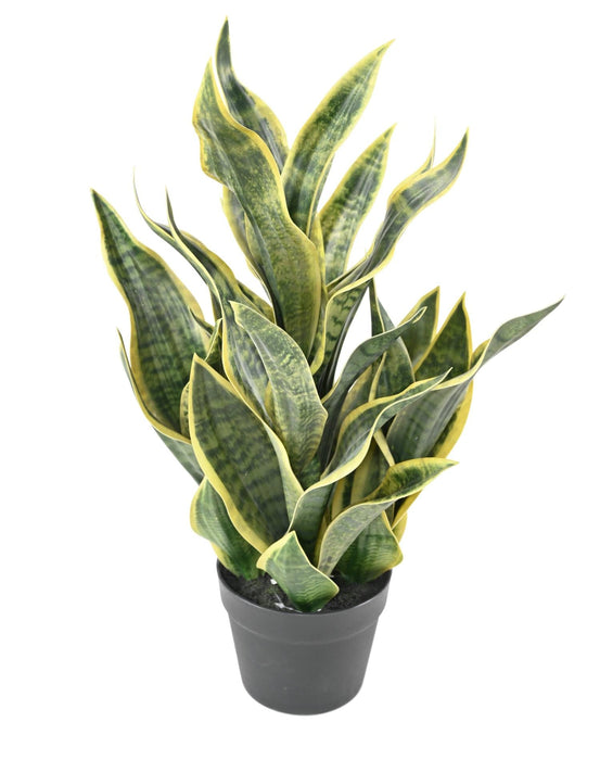 Konstgjord Växt Sansevieria 66Cm Inredning