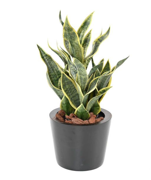 Konstgjord Växt Sansevieria 66Cm Inredning