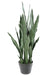 Konstgjord Växt Sansevieria 85 Cm Gröna Blad