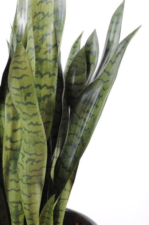 Konstgjord Växt Sansevieria 93 Cm Inredning