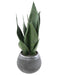 Konstgjord Sansevieria-Växt Med Kruka 49 Cm Grön