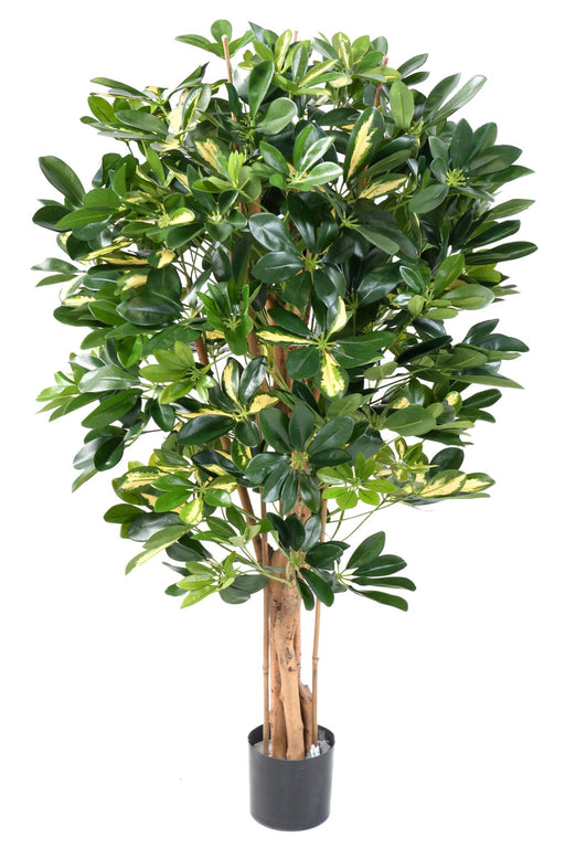 Konstgjord Växt Schefflera 110Cm Inredning