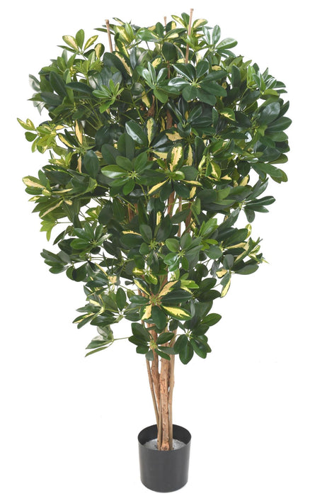 Konstgjord Växt Schefflera 150Cm Grönbrokig