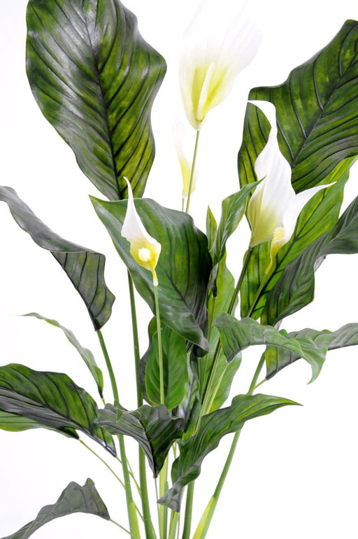 Konstgjord Växt Spathiphyllum 5 Blommor 80Cm