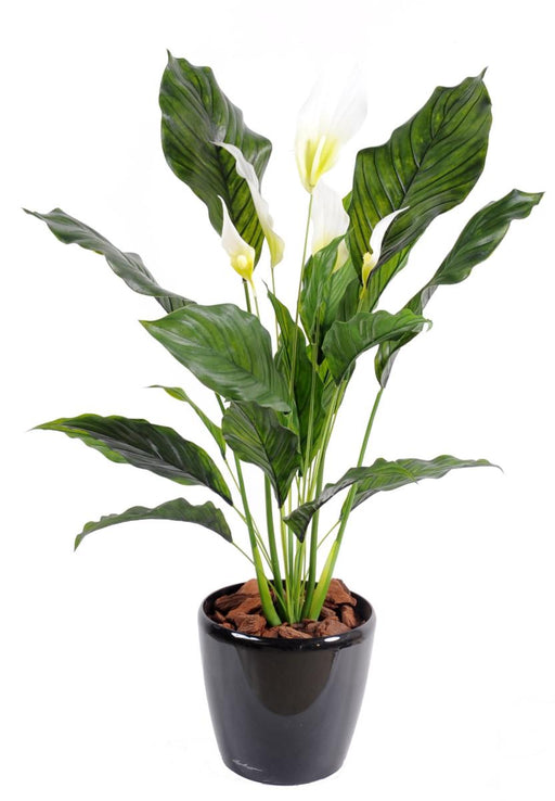 Konstgjord Växt Spathiphyllum 5 Blommor 80Cm