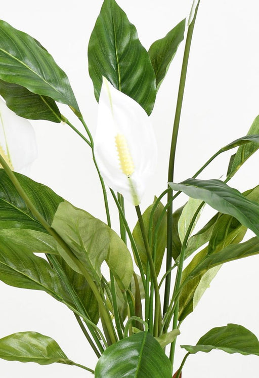 Konstgjord Spathiphyllumväxt Med Vita Blommor