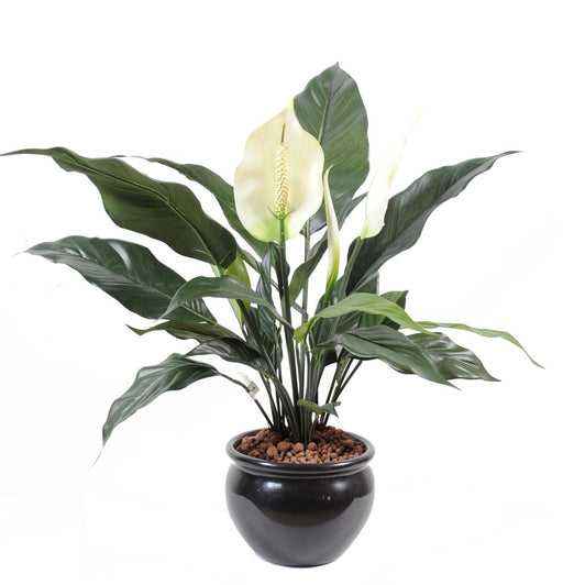 Konstgjord Spathiphyllum-Växt I Kruka 53 Cm