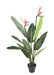 Konstgjord Strelitzia Plant 2 Blommor 95 Cm