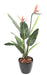 Konstgjord Strelitzia Plant 2 Blommor 95 Cm