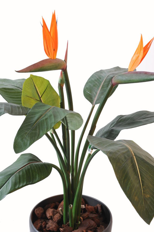 Konstgjord Växt Strelitzia 2 Blommor Dekoration H.85Cm