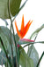 Konstgjord Växt Strelitzia 3 Blommor 150Cm