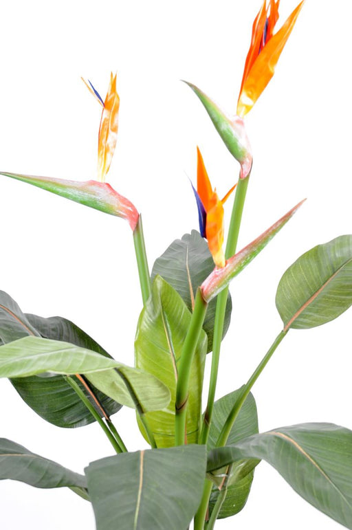 Konstgjord Strelitzia-Växt Med Orange Blommor 98cm