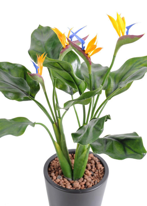 Konstgjord Växt Strelitzia UV-Beständig 50Cm