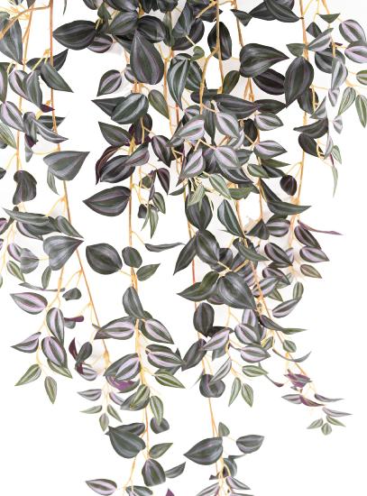 Konstgjord Växt Tradescantia H.110 Cm Grön Lila