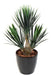 Konstgjord Yucca-Växt 3 Stammar 70 Cm Inredning