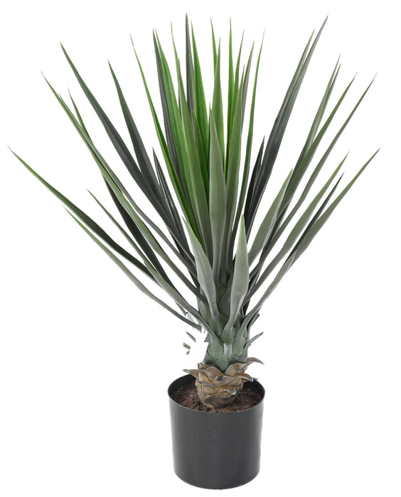 Konstgjord Växt Yucca Rostrata 60 Cm Grön