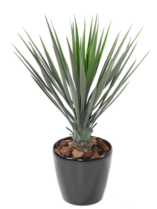 Konstgjord Växt Yucca Rostrata 60 Cm Grön