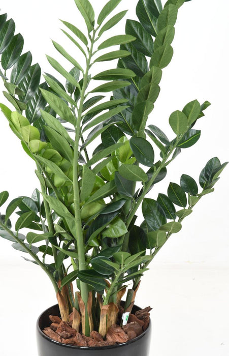 Konstgjord Växt Zamioculcas 110Cm För Inomhus