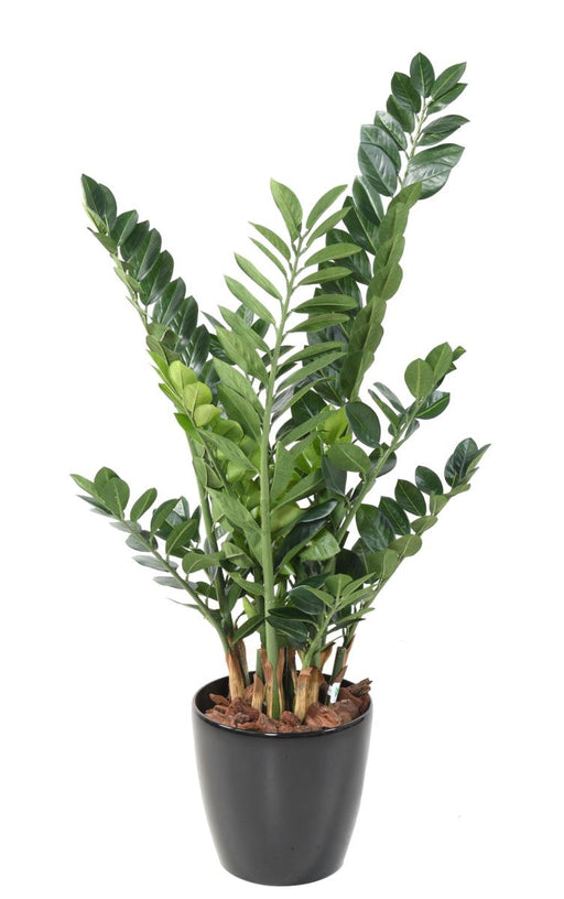 Konstgjord Växt Zamioculcas 110Cm För Inomhus