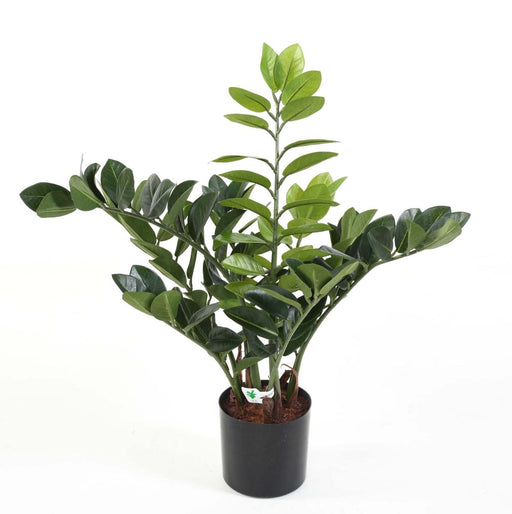 Konstgjord Växt Zamioculcas 60Cm För Inomhus