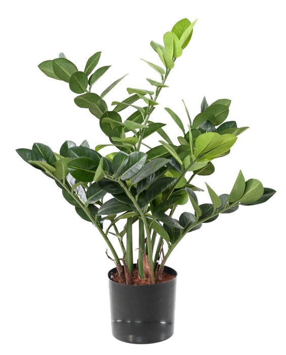 Konstgjord Växt Zamioculcas 60Cm För Inomhus