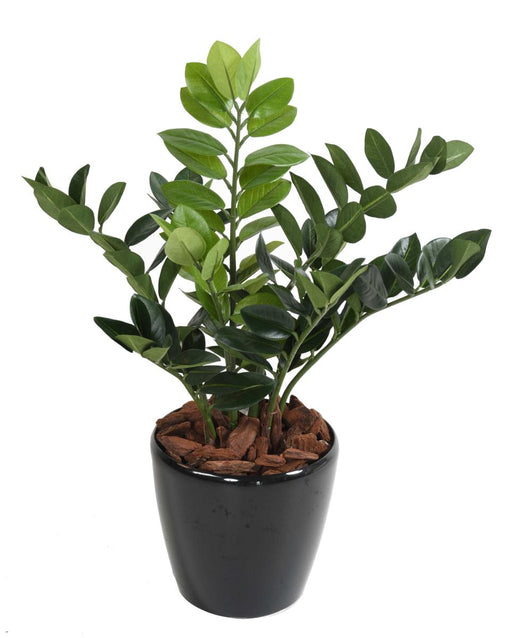 Konstgjord Växt Zamioculcas 60Cm För Inomhus