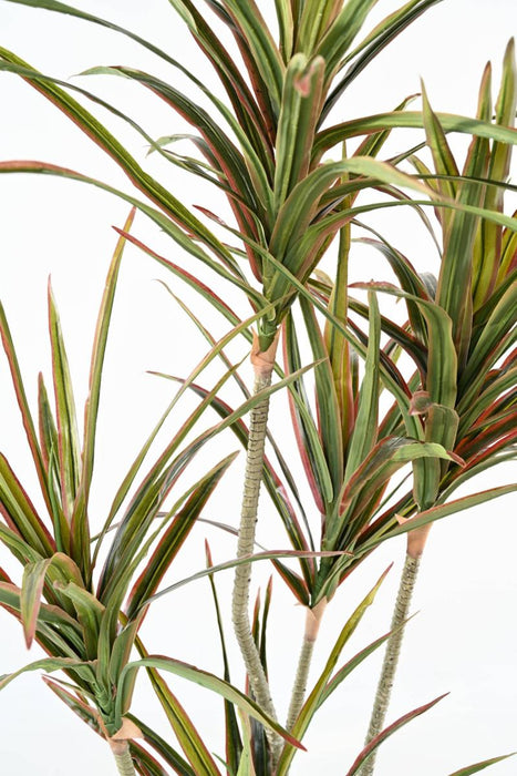 Konstgjord Dracaena Växt 5 Huvuden 190Cm