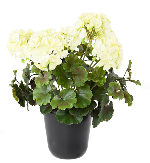 Konstgjord Pelargonväxt 6 Huvuden UV 35Cm Vit