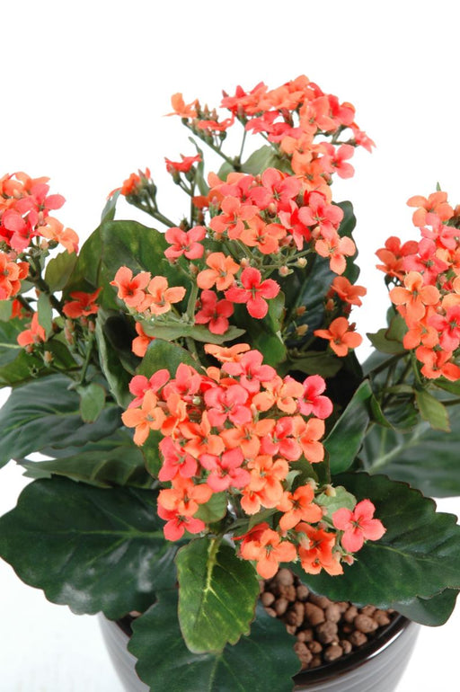 Konstgjord Kalanchoe Plant På Stake 25 Cm Persika