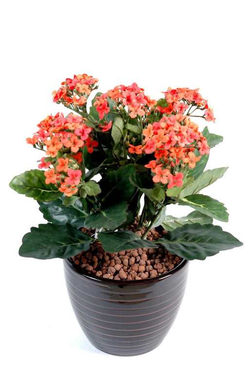 Konstgjord Kalanchoe Plant På Stake 25 Cm Persika