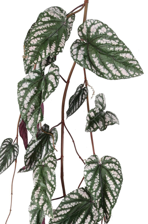 Konstgjord Hängväxt Begonia Muculata 230Cm