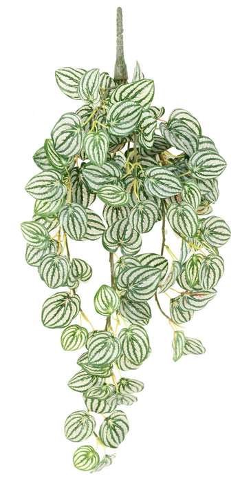 Konstgjord Hängväxt Peperomia H.70 Cm