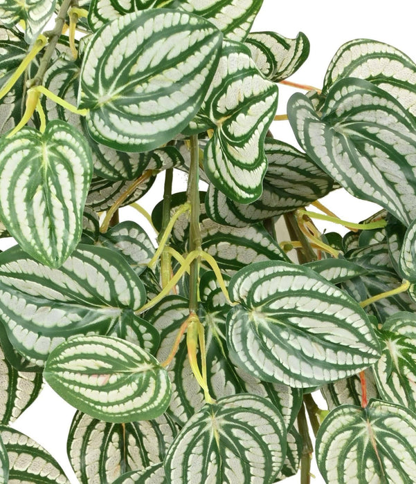 Konstgjord Hängväxt Peperomia H.70 Cm