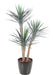 Konstgjord Yucca-Växt 3 Stammar 155 Cm Grön