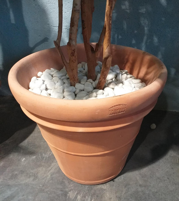 Benocci Terracotta Pot Ø100Cm Frostbeständig