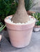 Graffiato Terracotta Pot Ø31Cm Frostbeständig