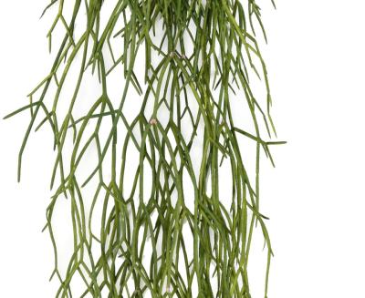 Artificiell Rhipsalis 50 Cm För Inomhus Och Utomhus