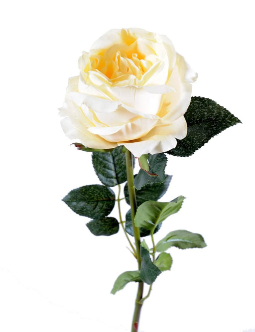 Artificiell Cream Rose 80Cm Inredning