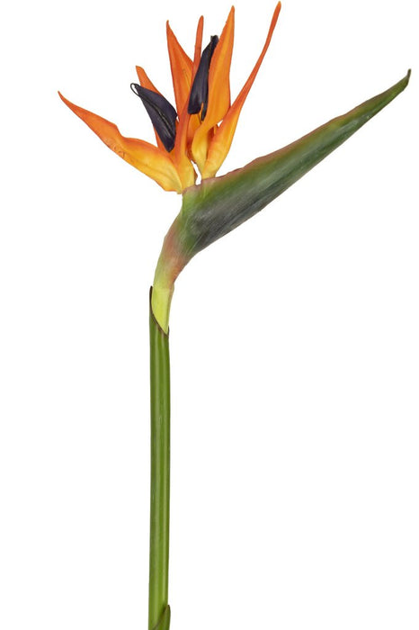 Strelitzia Röd/Lila - Konstgjord Blommande Gren