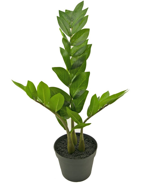 Zamioculcas - Konstgjord Grön Växt