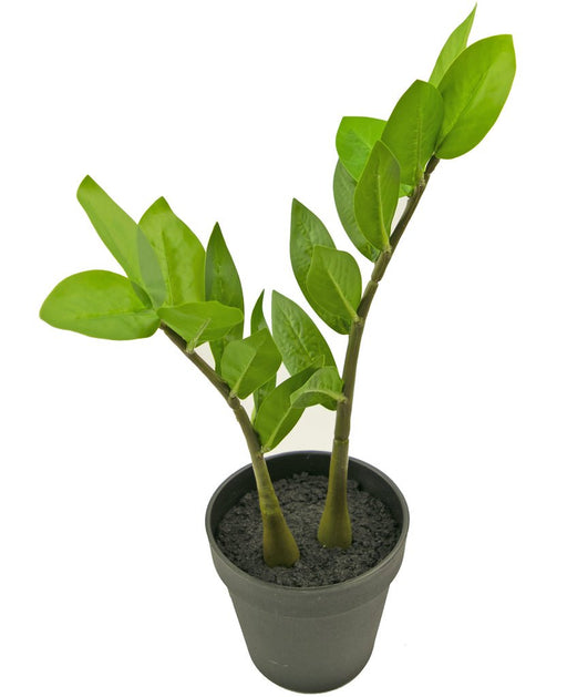 Zamioculcas - Konstgjord Grön Växt